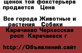 щенок той-фокстерьера продается › Цена ­ 25 000 - Все города Животные и растения » Собаки   . Карачаево-Черкесская респ.,Карачаевск г.